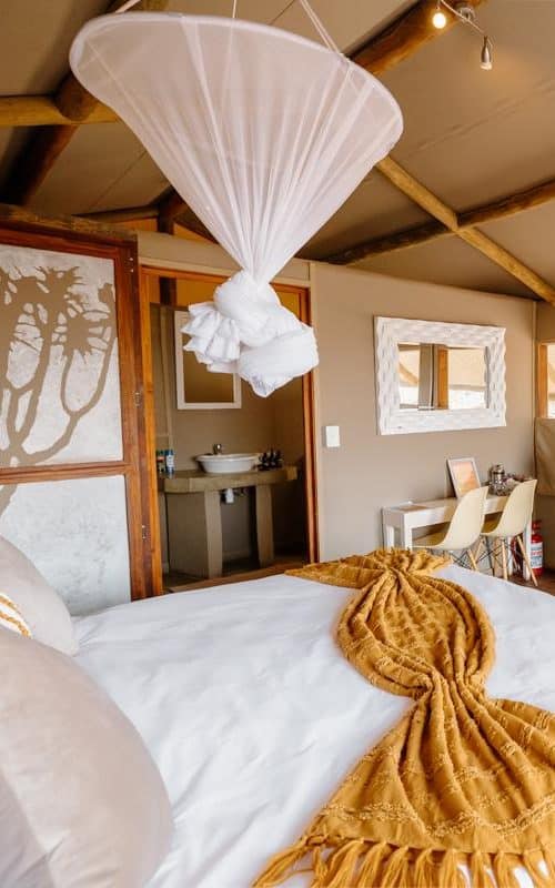 Kanaan Desert Retreat Na'ankuse Feb 2025 LR-48