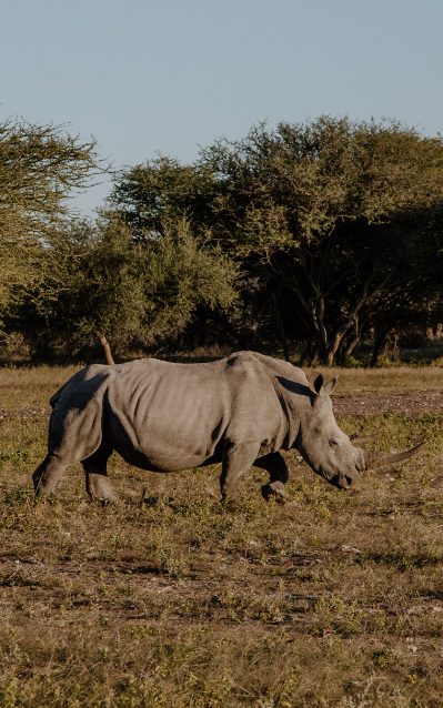 Naankuse Harnas Wildlife May 2025-13