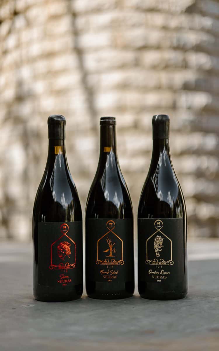 Neuras Wine & Wildlife Estate Na'ankuse Feb 2025-71