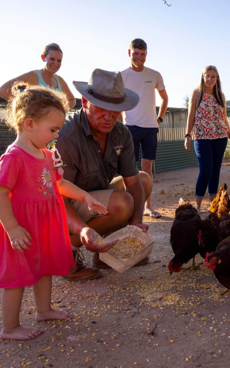 TimBila Farmstead - Nesting Experience 1